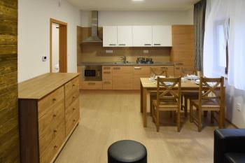 EFI ApartHotel Horní Lipová - kitchen